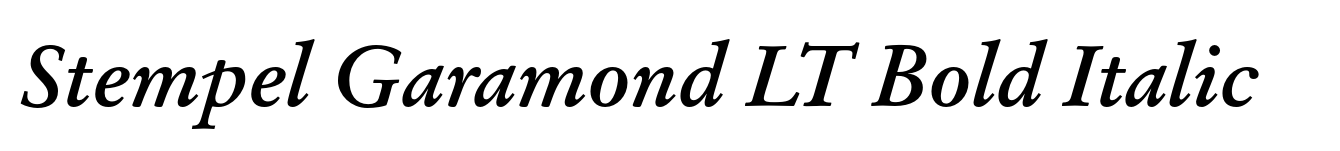 Stempel Garamond LT Bold Italic image